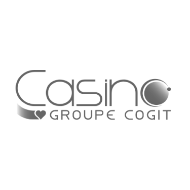 Groupe COGIT